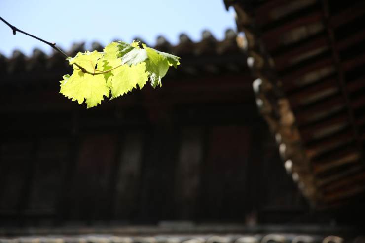 广宸信防腐瓦 广宸信防腐瓦