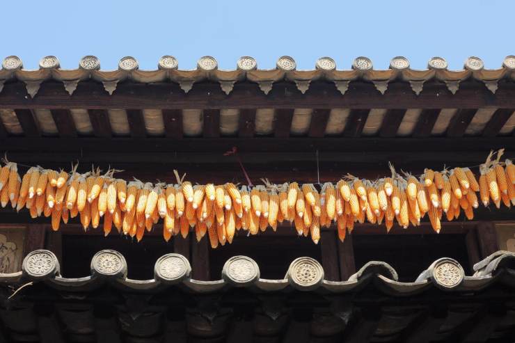 广宸信防腐瓦 广宸信防腐瓦