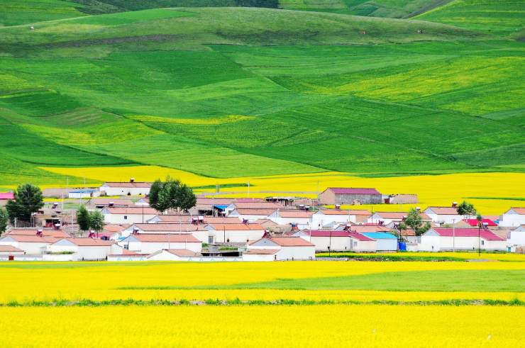 广宸信防腐瓦 广宸信防腐瓦