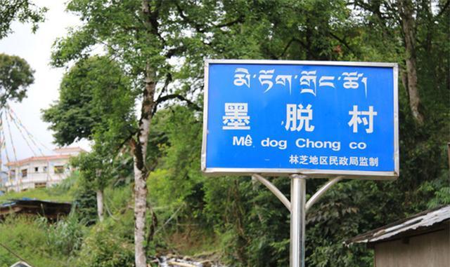 广东树脂瓦 广东树脂瓦